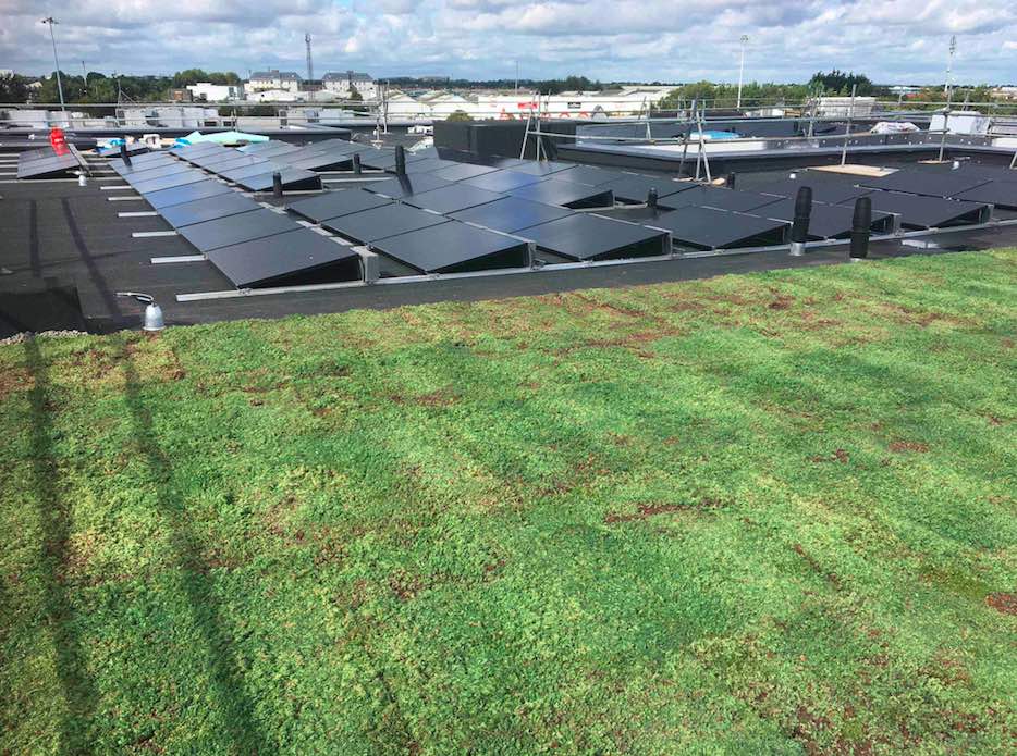 Sedum Green Living Roof on Moy Materials Paralon roof system  @ Tonlagee Nursing Home